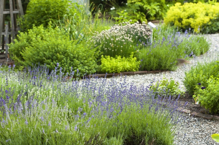 Kräutergarten